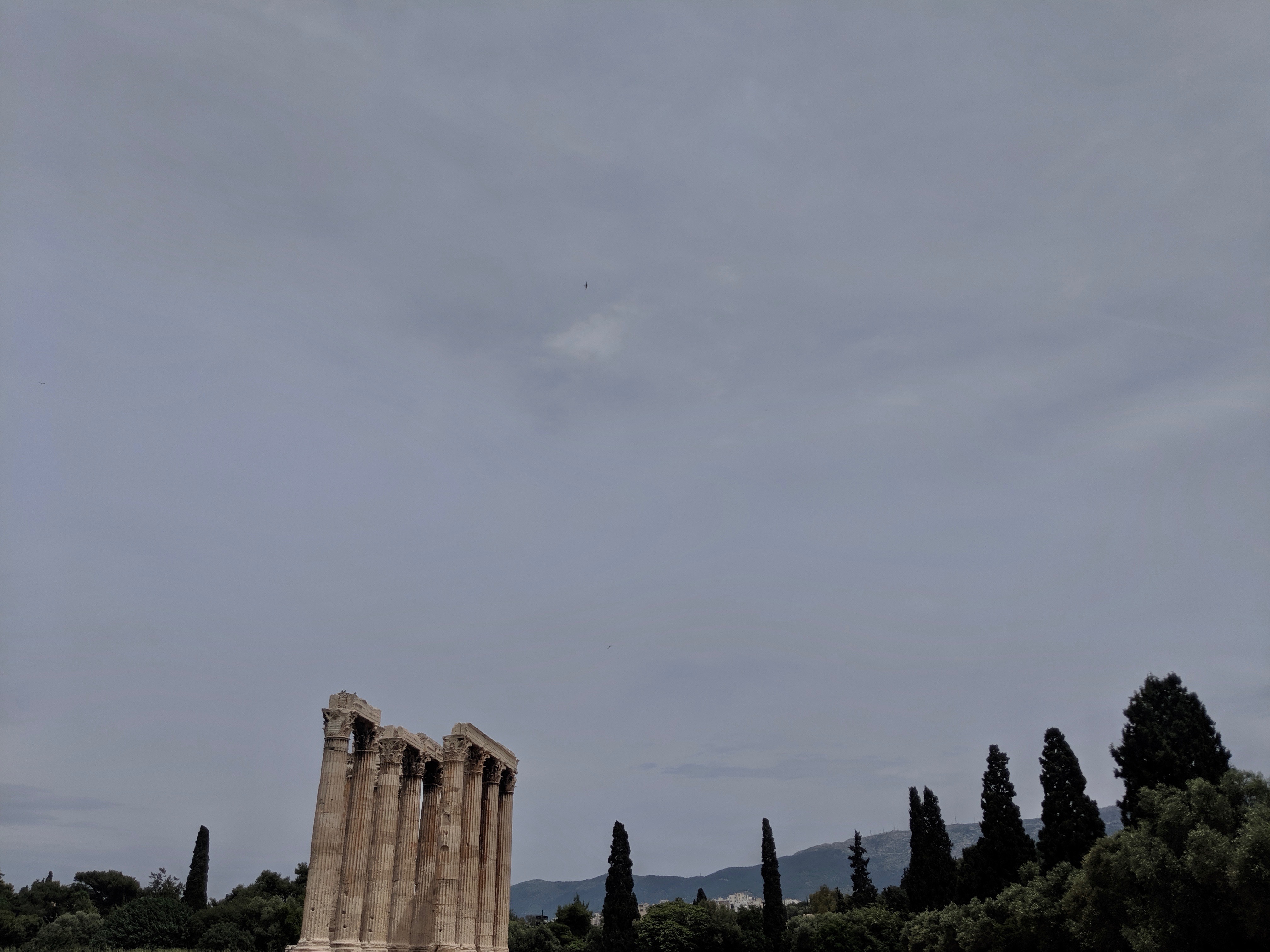 MVIMG_20190519_140656
